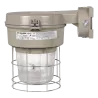 LUMINARIA LED VM4L, 40W/46W, 6278LM, 5000K, 120-277VC, CLI DIV2 NM 4X, M/PARED 1