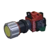 PULSADOR RESET COLOR AMARILLO, Ex-d IP66 NEMA 4X, CL1 DIV1&2, UL